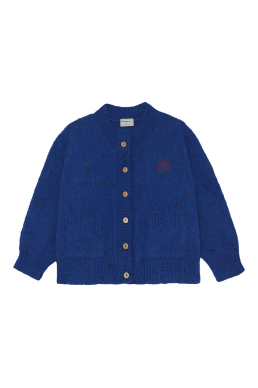 Blue Cardigan