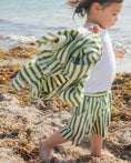 Load image into Gallery viewer, Stripe & Stroll Setzers