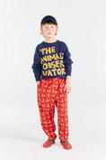 Load image into Gallery viewer, Shark Kid Sweatshirt
