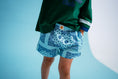 Load image into Gallery viewer, Paisley Shorties