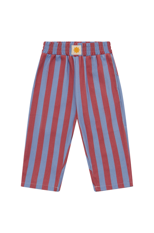 Stripe Twill Pants