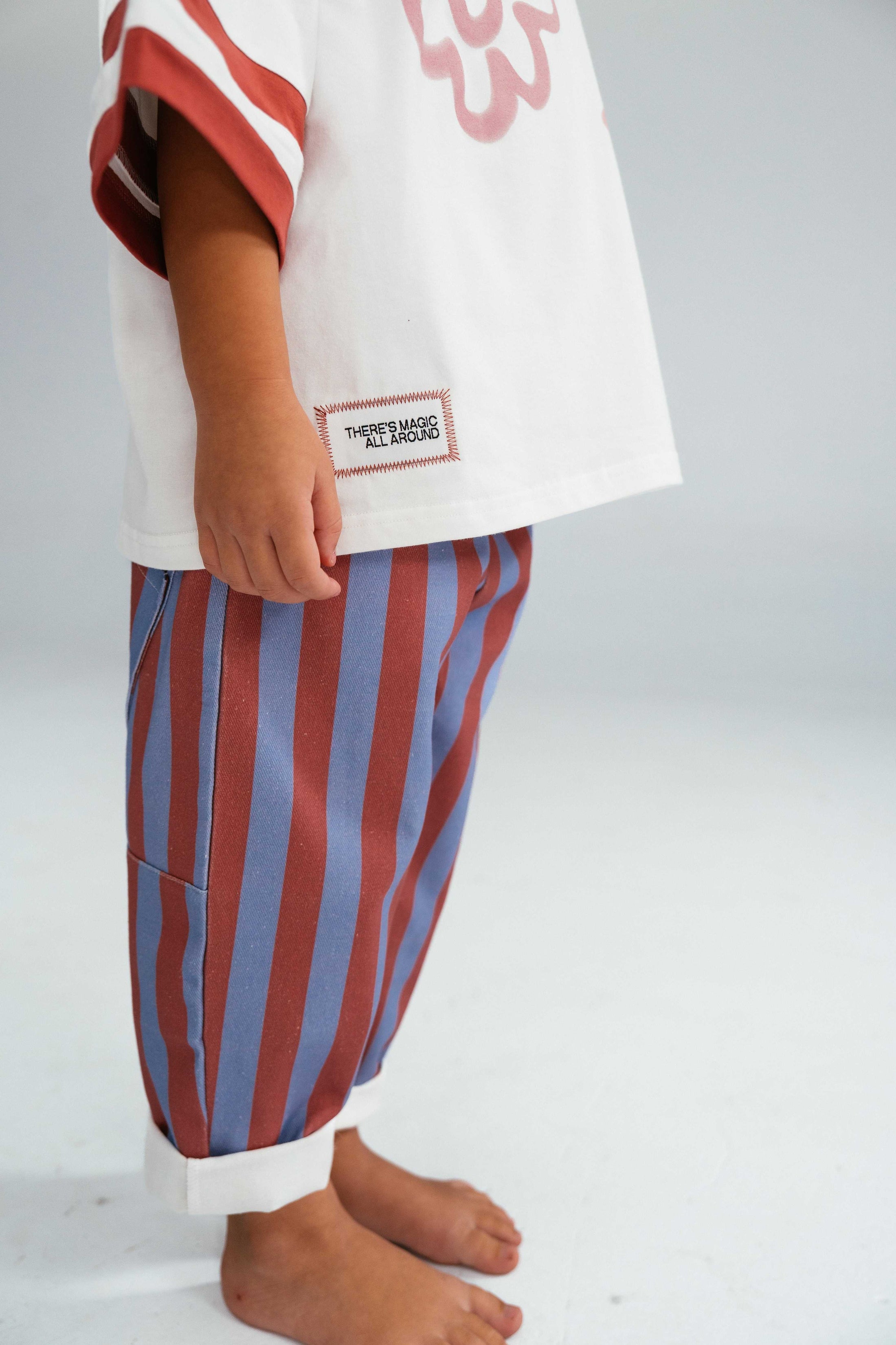 Stripe Twill Pants