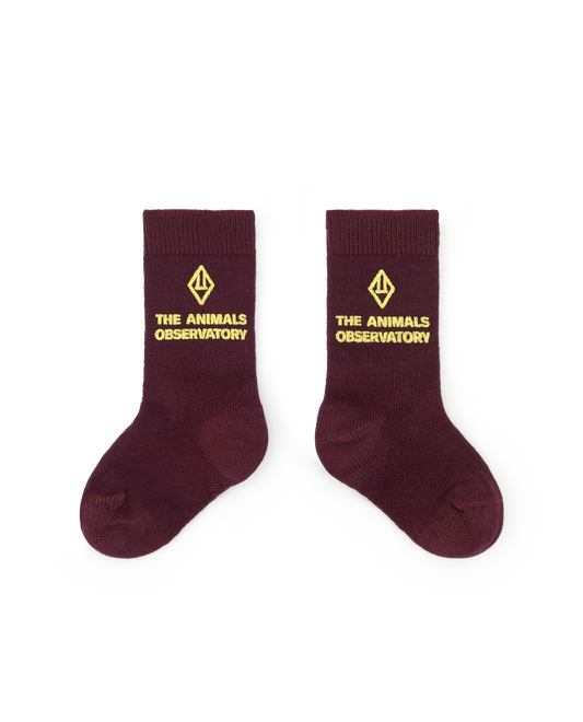 Avocat Baby Socks Maroon