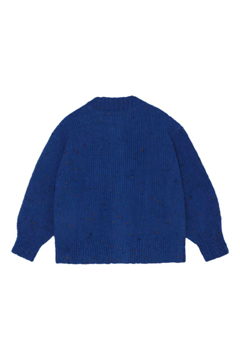 Blue Cardigan
