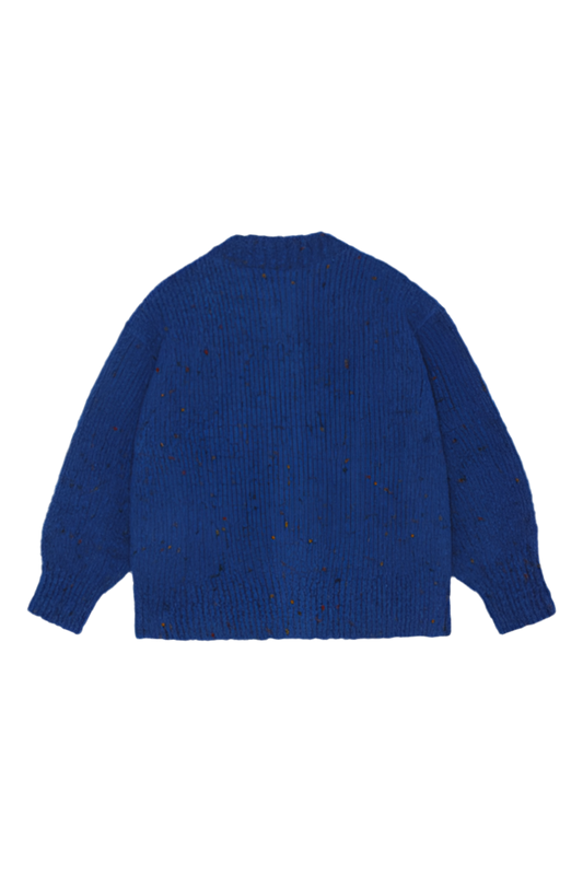 Blue Cardigan