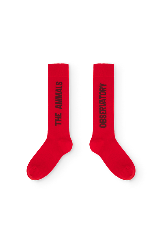 Worm Socks Red