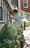 Load image into Gallery viewer, Stripe & Stroll Setzers
