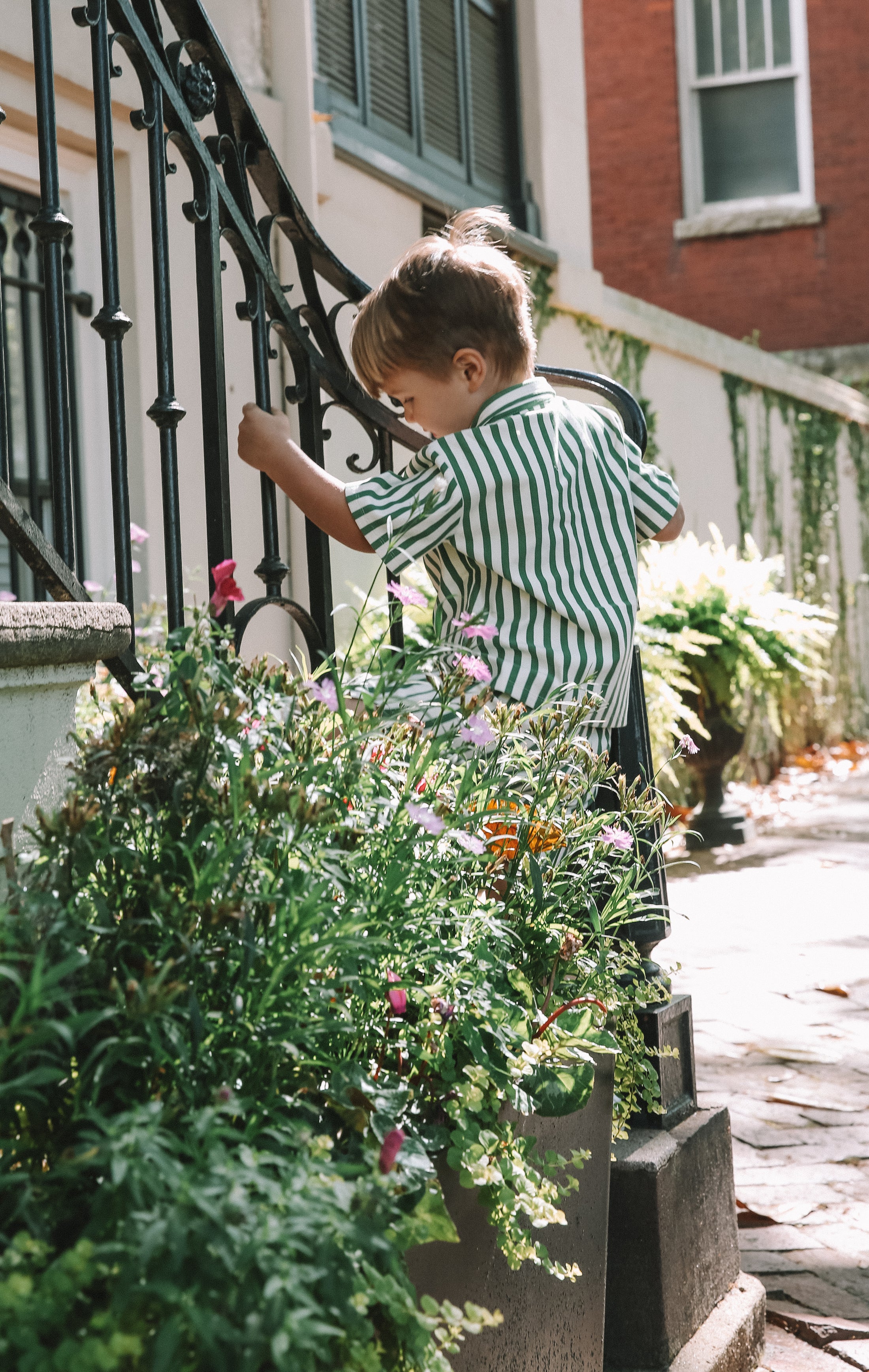 Stripe & Stroll Setzers