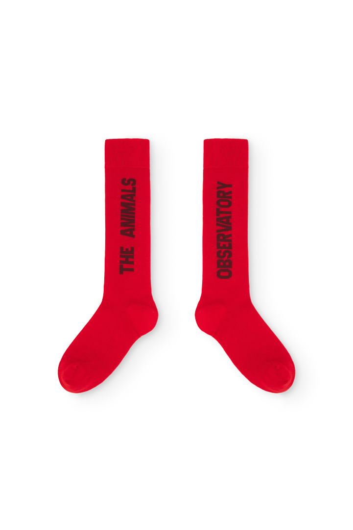 Worm Kid Socks