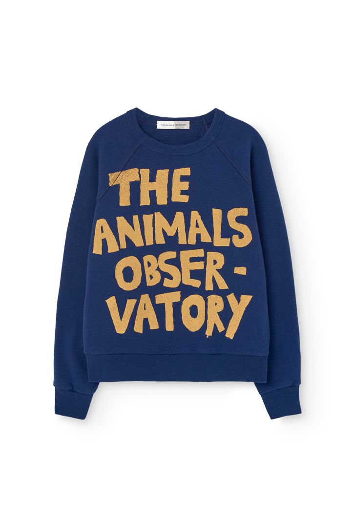 Shark Kid Sweatshirt