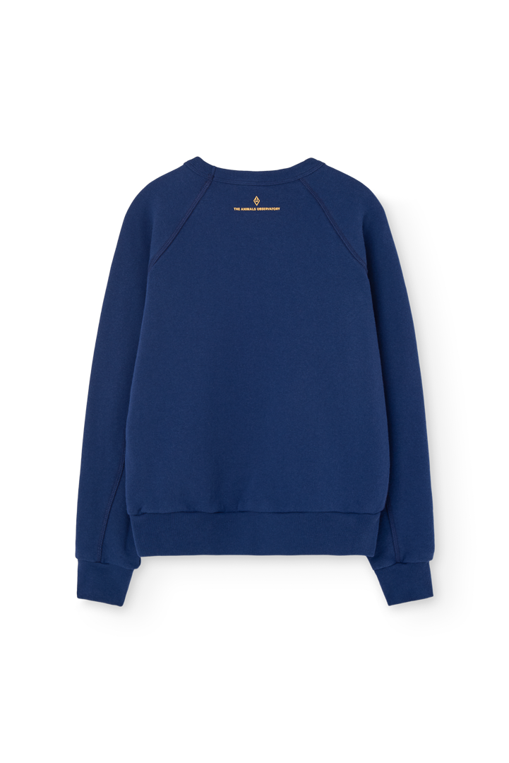 Shark Kid Sweatshirt