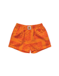 Load image into Gallery viewer, Paisley Shorties
