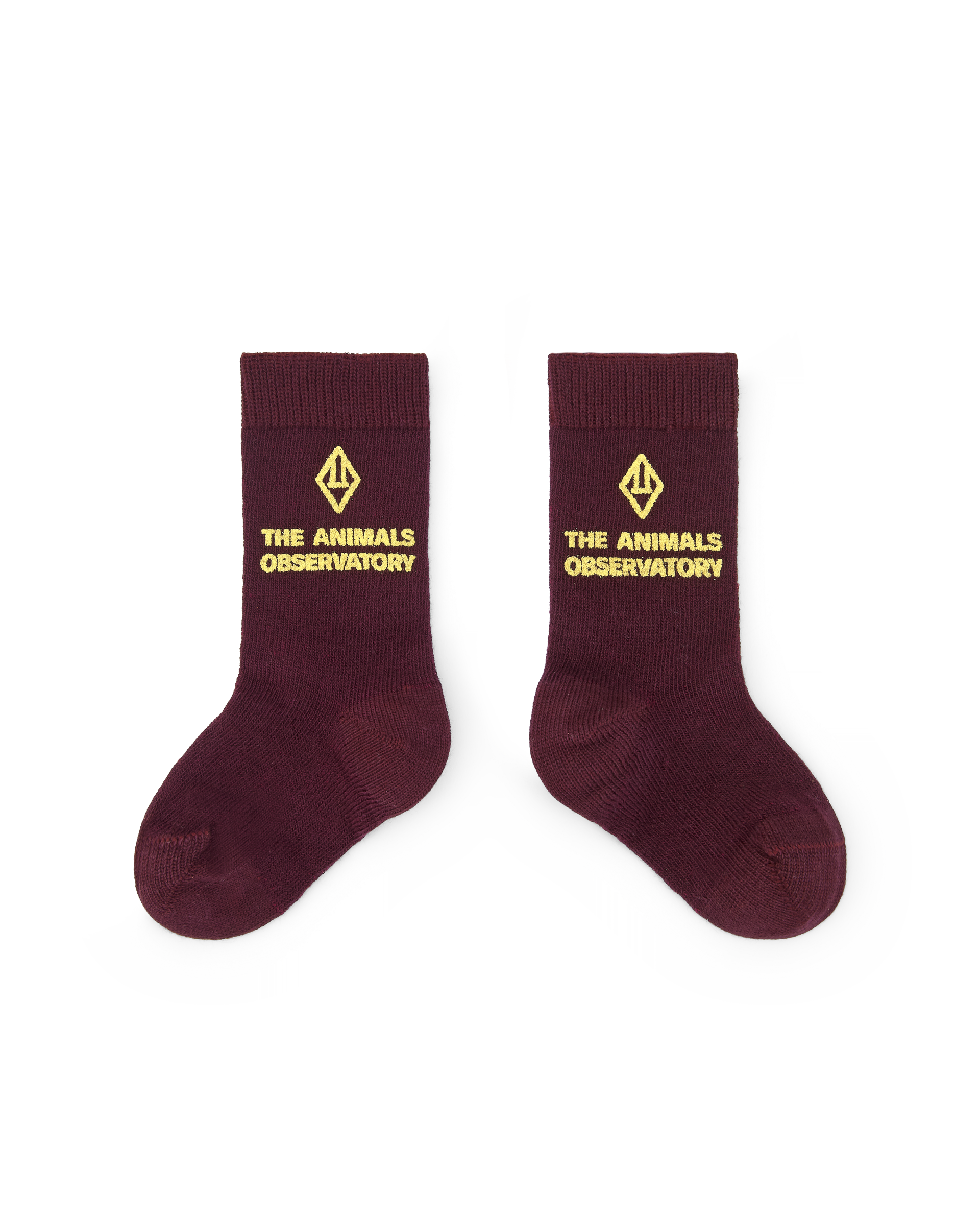 Avocat Baby Socks Maroon